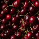 Organic Cherries (250g)