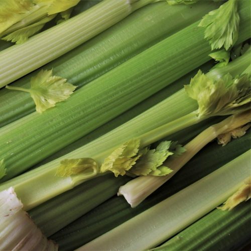 Organic Celery (ptn)