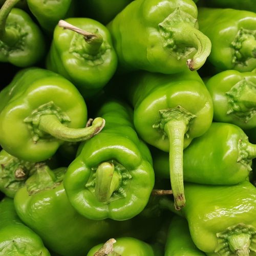 Organic Pepper - Romaine Green (500g)