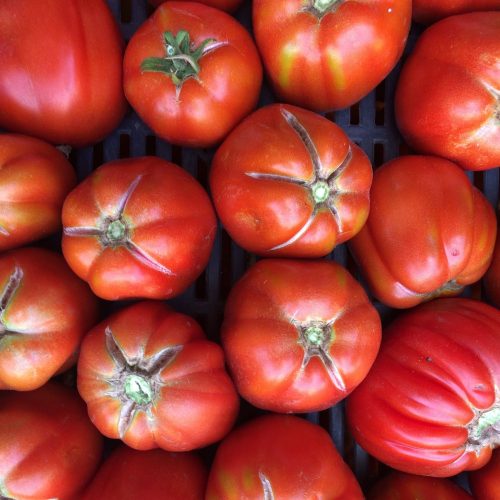Organic Tomatoes (1000g)