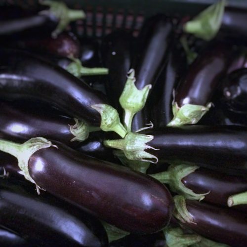 Organic Aubergines (600g)