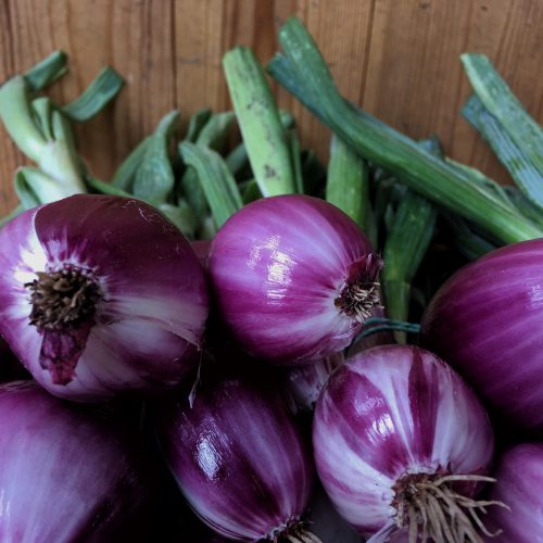 Organic Purple Onion - New (bun)