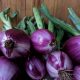 Organic Purple Onion - New (bun)