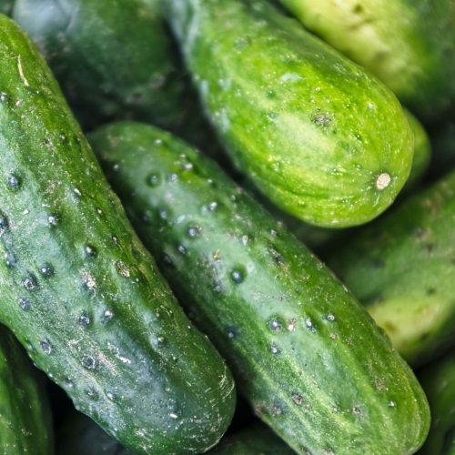Organic Cucumbers - small (300g)