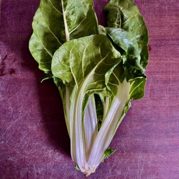 Bio Mángold  - kompakt (db)