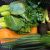 Organic EXTRA Fruit & Veg Box (pc)