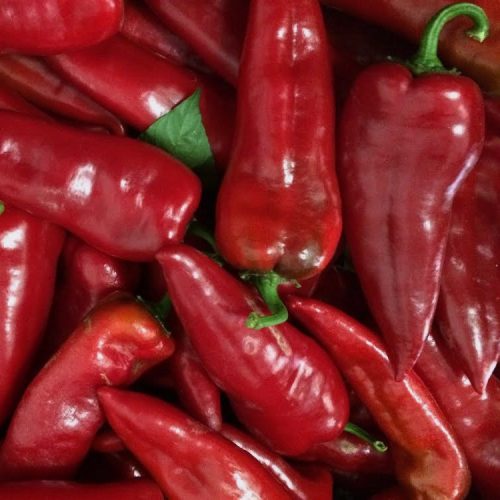 Bio Kápia paprika (250g)