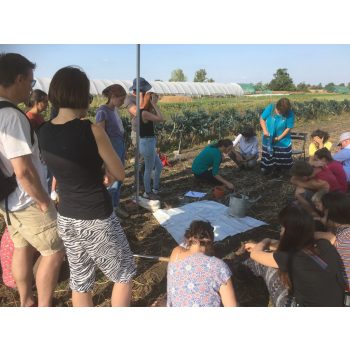   Részvételi díj - Zsámboki Biokert Nyílt nap - Felnőtt (db)