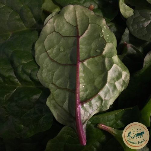 Organic Malabar Spinach (200g)