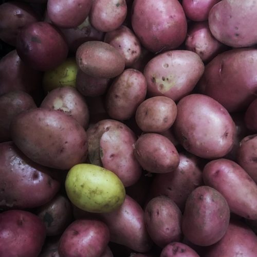 Bio Burgonya - Balatoni Rózsa (500g)