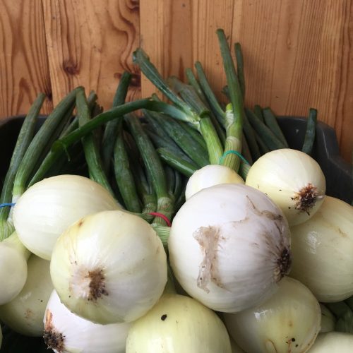 Organic Sweet Salad Onions (pc)