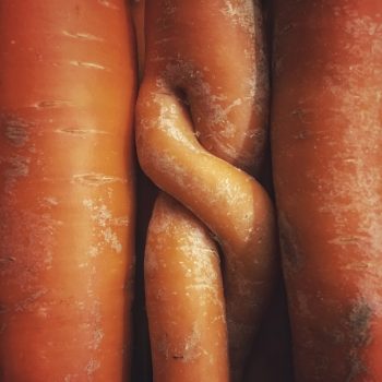 Organic Carrots - Spring (500g)
