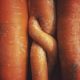 Organic Carrots - Spring (500g)