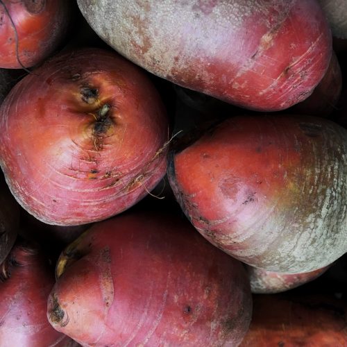 Organic Beetroot (Yellow) (bun)
