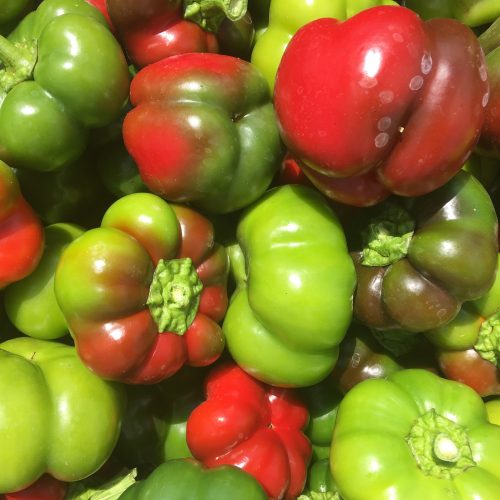 Bio Pritaminpaprika (500g)