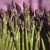 Organic Asparagus (250g)