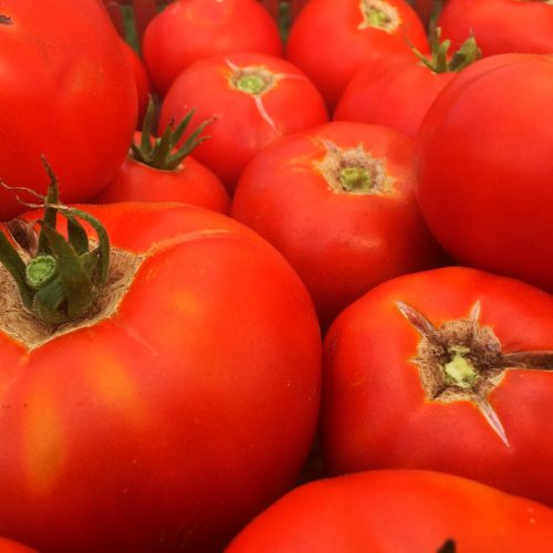 Organic Tomatoes - St Pierre (kg)