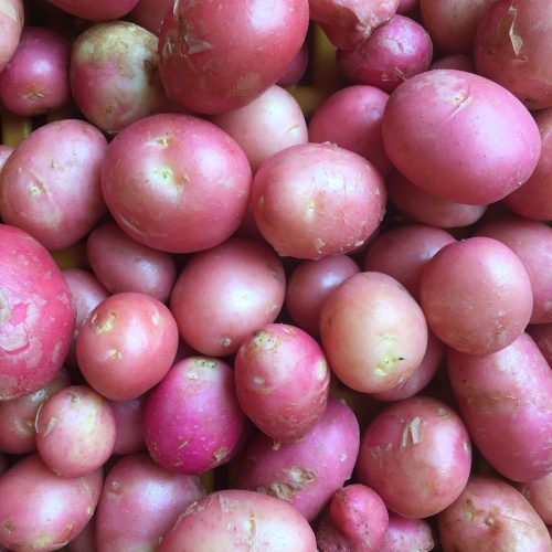 Organic New Potatoes (500g)