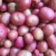Organic New Potatoes (500g)