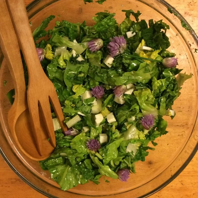 Crunchy Salad with Goat Cheese and Balsamic