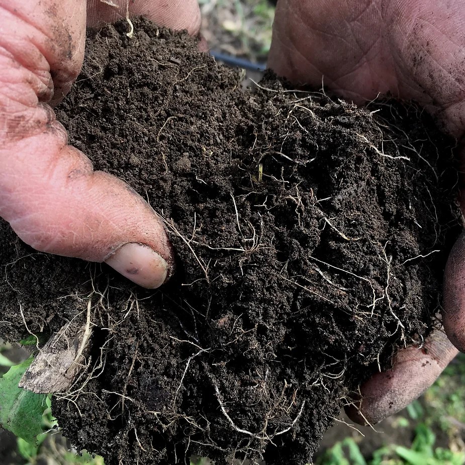 The Healthy Soil