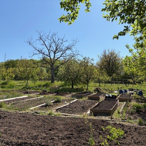 A visit to the Grund garden in Nagyvárad