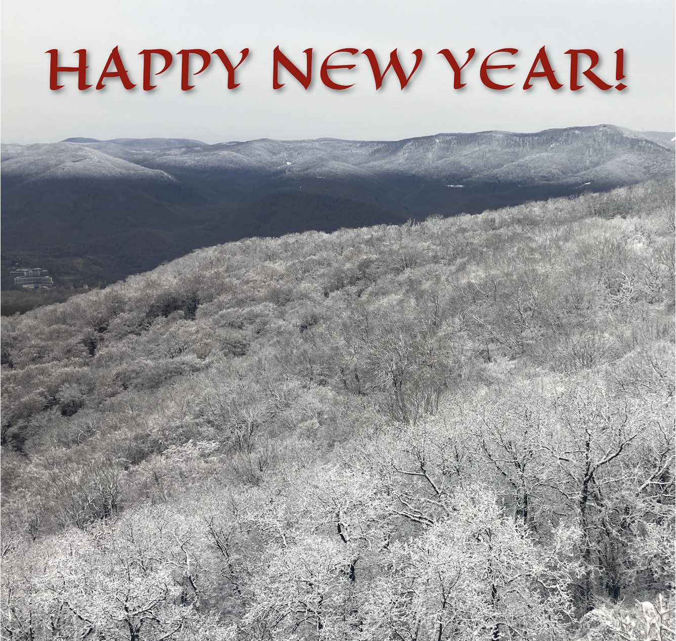 Happy New Year!