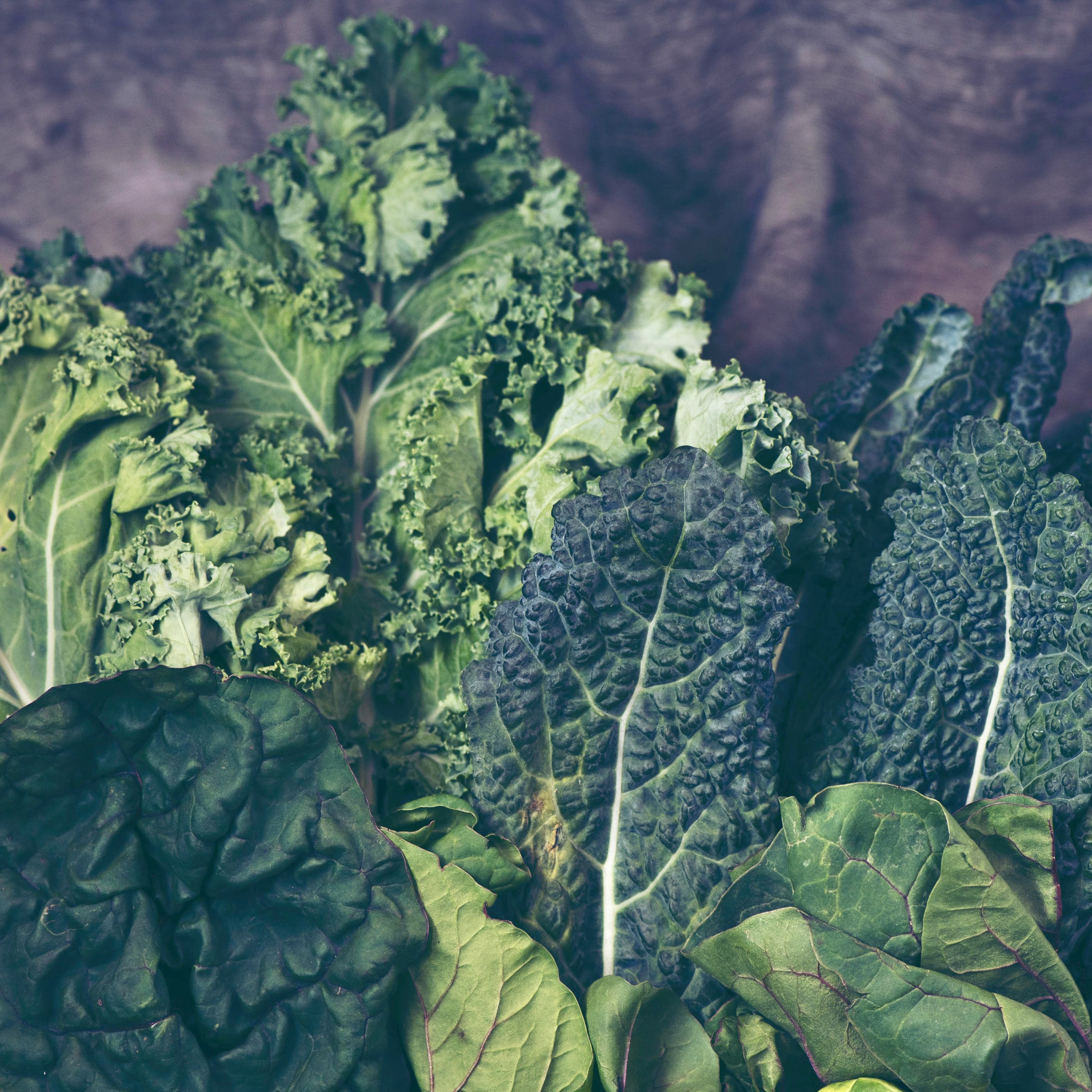 Anti-Inflammatory Foods