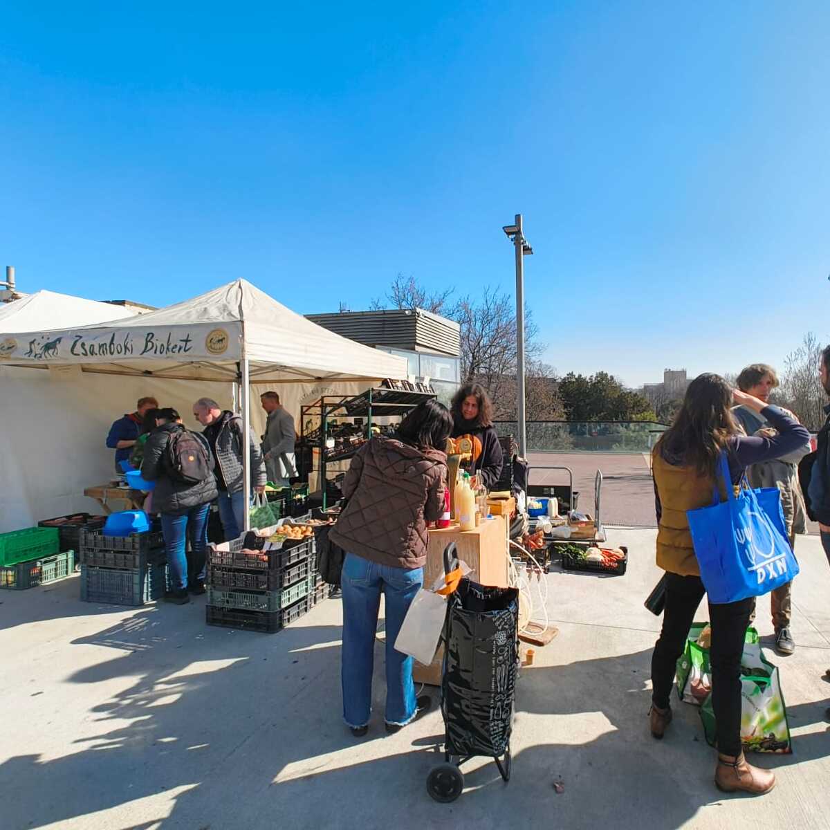 Minimum rendelés és dobozár változások